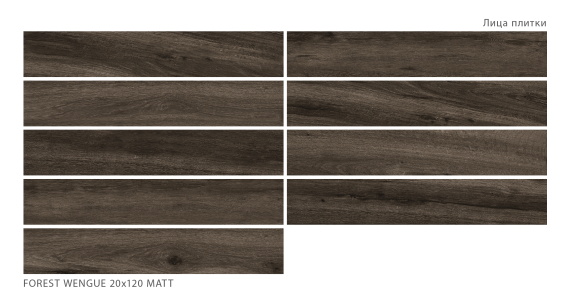 Керамогранит Staro Forest Wengue 20x120 Matt С0005665