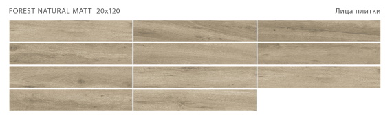 Керамогранит Staro Forest Natural 20x120 Matt С0005664
