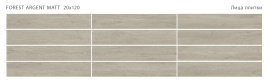 Керамогранит Staro Forest Argent 20x120 Matt С0005663
