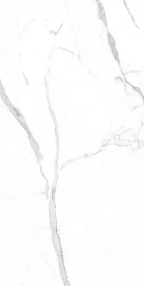 Керамогранит Eurotile Statuare 903 80x160
