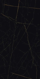 Керамогранит Eurotile Golden Black 905 80x160