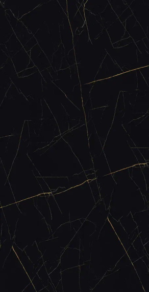 Керамогранит Eurotile Golden Black 905 80x160