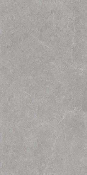 Керамогранит Eurotile Ройс грэй 232 60x120