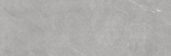 Плитка Eurotile Ройс грэй 237 32,5x100