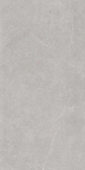 Керамогранит Eurotile Ройс сильвер 231 60x120