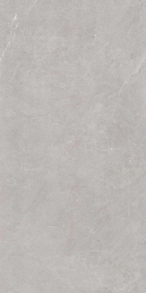 Керамогранит Eurotile Ройс сильвер 231 60x120