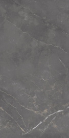 Керамогранит Eurotile Флора дарк 296 60x120