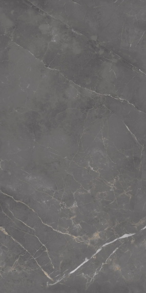 Керамогранит Eurotile Флора дарк 296 60x120