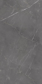Керамогранит Eurotile Флора дарк 296 60x120