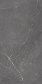 Керамогранит Eurotile Флора дарк 296 60x120