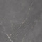 Керамогранит Eurotile Флора дарк 296 60x120