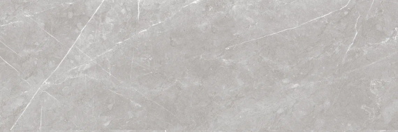 Плитка Eurotile ANDORA GRAY 611 29,5x89,5