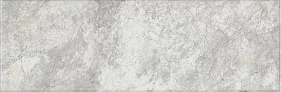 Плитка Eurotile IMAGE SILVER 616 32,5х100