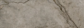 Плитка Eurotile PASSION DARK 800 29,5x89,5