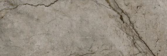 Плитка Eurotile PASSION DARK 800 29,5x89,5