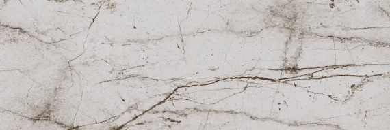 Плитка Eurotile PASSION LIGHT 802 29,5х89,5