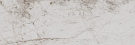 Плитка Eurotile PASSION LIGHT 802 29,5х89,5