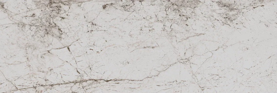 Плитка Eurotile PASSION LIGHT 802 29,5х89,5