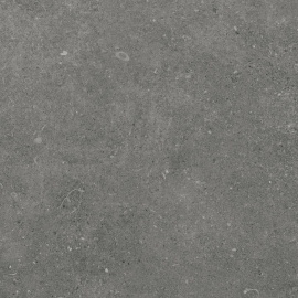 Керамогранит Eurotile Ракушечник/Shellstone Мокко Мат. 60x60 7930138704538