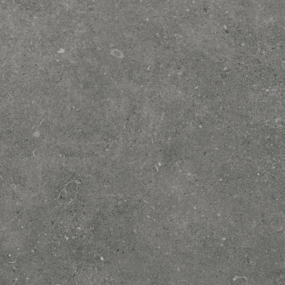 Керамогранит Eurotile Ракушечник/Shellstone Мокко Мат. 60x60 7930138704538