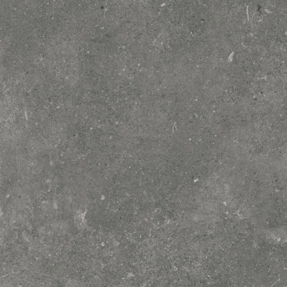 Керамогранит Eurotile Ракушечник/Shellstone Мокко Мат. 60x60 7930138704538