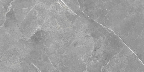 Керамогранит Eurotile Рубис/Rubis Серый Пол. 60x120 7930138705566