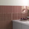 Плитка Equipe Lumina Roan Rouge Matt 32367 6x24,6