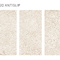 Керамогранит Staro Oslo Pearl 60x120 Antislip