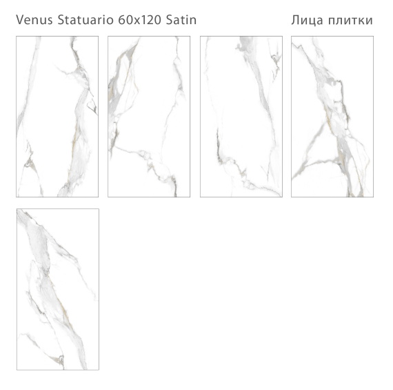 Керамогранит Staro Venus Statuario Satin 60x120