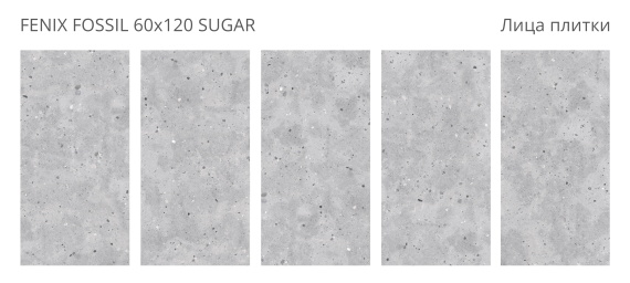 Керамогранит Staro Fenix Fossil 60x120 Sugar
