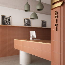 Плитка Equipe COSTA NOVA Terra Matt 28465 5x20