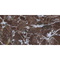 Керамогранит Staro Rubi Red 60x120 Satin УТ-00001320