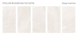 Керамогранит Staro Stellar Bloom 60x120 Satin УТ-00001443