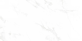 Venus Bianco Polished 60x120
