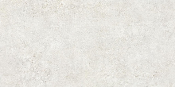 Керамогранит NT Ceramic Terrazzo TZ612NTT9501L 60x120
