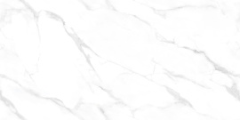 Керамогранит NTT99506P NT Ceramic Marmo Statuario Endless 60x120