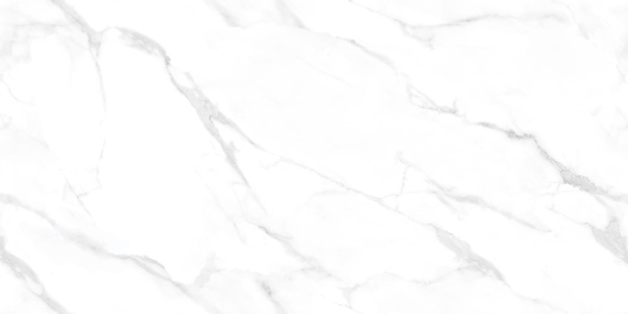 Керамогранит NTT99506P NT Ceramic Marmo Statuario Endless 60x120