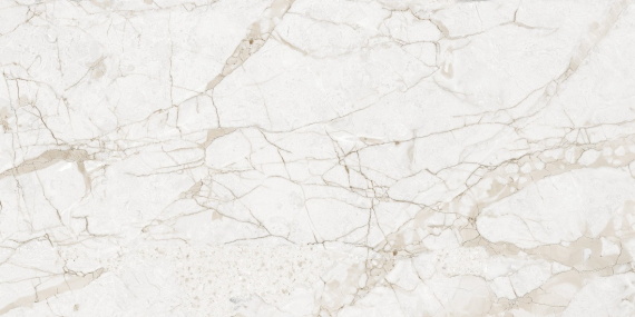 Керамогранит NTT99519M NT Ceramic Impero Grey Carving 60x120