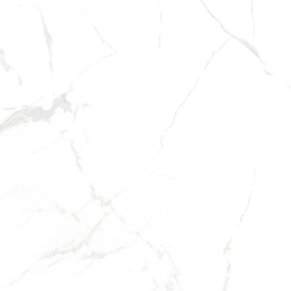 Керамогранит NTT996070M NT Ceramic Callacata carving 60x60