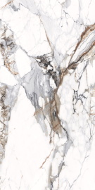 Керамогранит NTT3005P NT Ceramic Breccia Capria 120x240