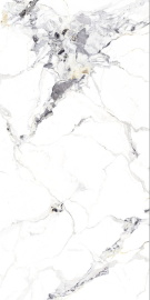 Керамогранит NTT3310P NT Ceramic Breccia Bianco 120x240