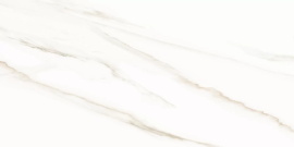 Плитка AltaCera WT9ESR00 Esprit Calacatta 250*500*9