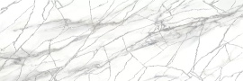 Плитка Delacora DW15ALC66R Alicante 24,6x74