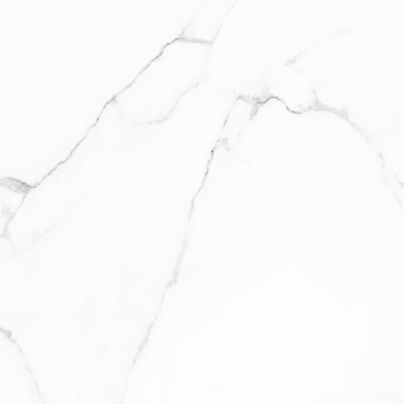Керамогранит Alma Ceramica Carrara GFU04CRR00R 60x60