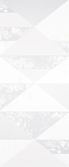 Плитка Creto D0429Y29601 Forza Matrix White 25x60