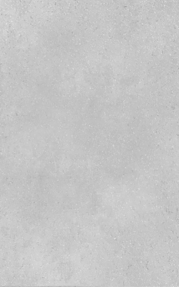 Плитка 00-00-5-09-00-06-2840 Creto Плитка Misty light 25х40