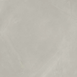 Керамогранит 610010002674 Italon Continuum Silver Ret 60x60