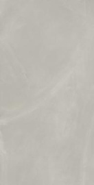Керамогранит 610010002679 Italon Continuum Silver Ret 60x120