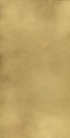 Керамогранит 610015000645 Italon Continuum Brass Gold Lap 80x160