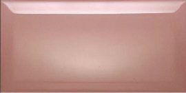 Плитка Dar Biselado Salmon Brillo 10x20